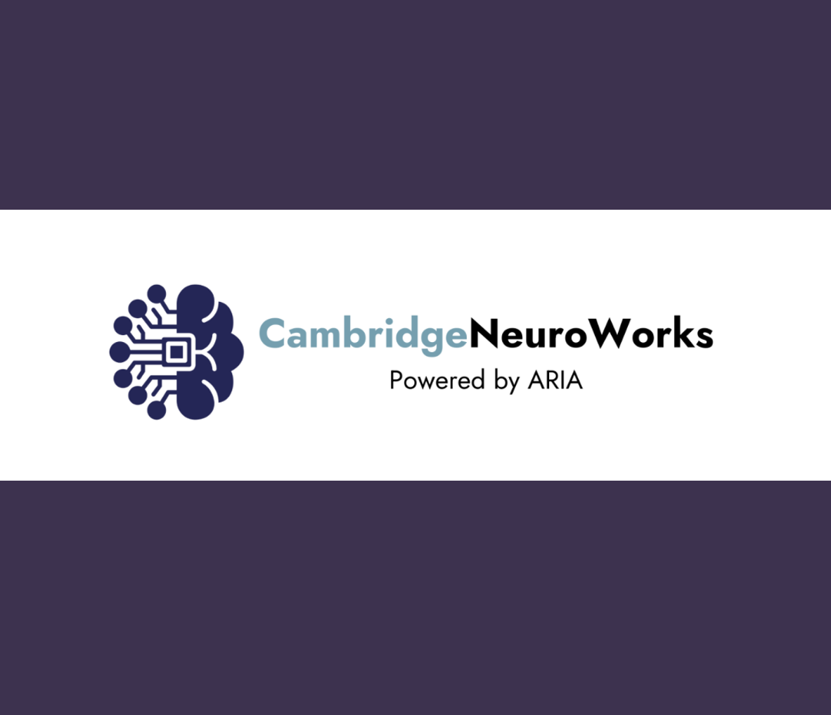 Cambridge NeuroWorks